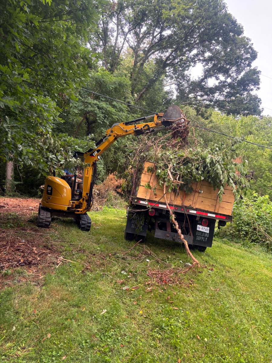 Mini excavator loading brush onto a flatbed