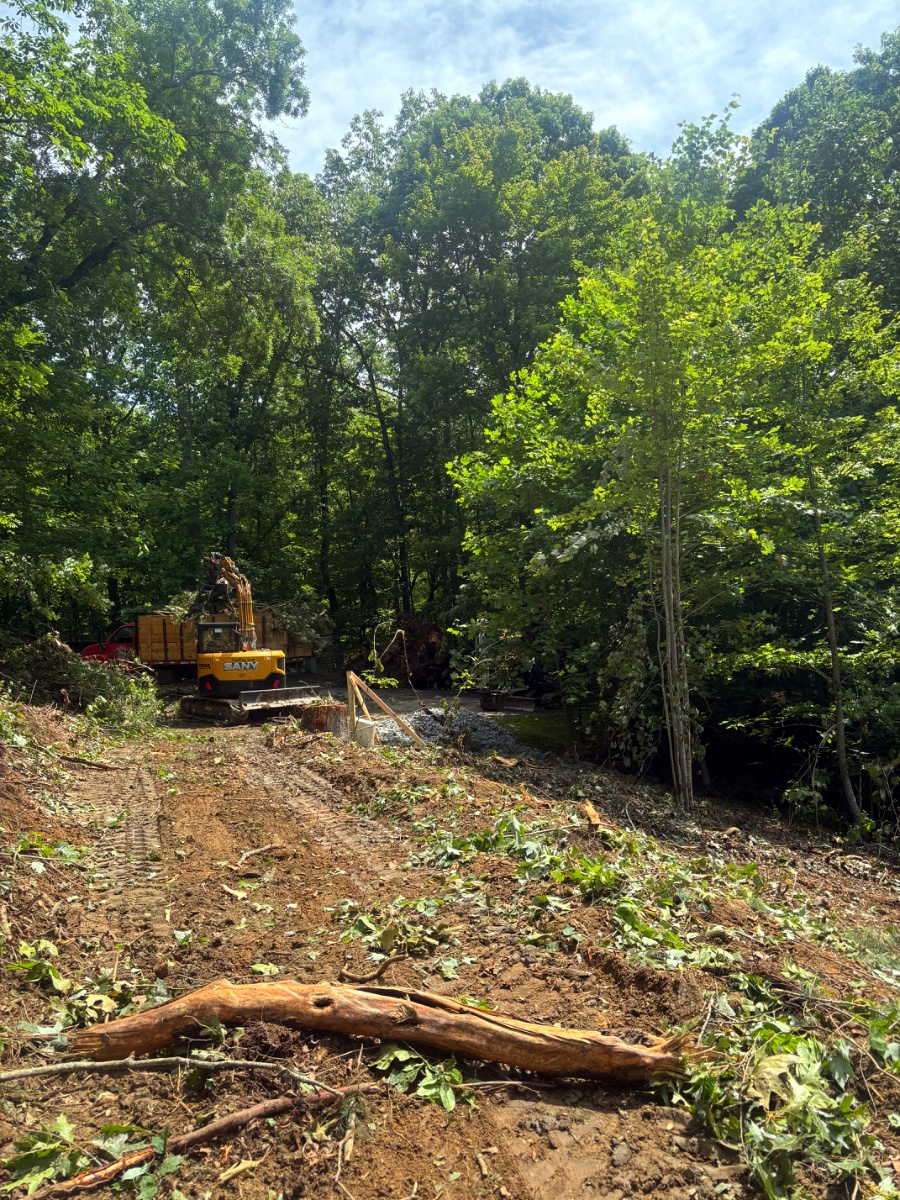 Excavator clearing brush along a driveway in Western North Carolina