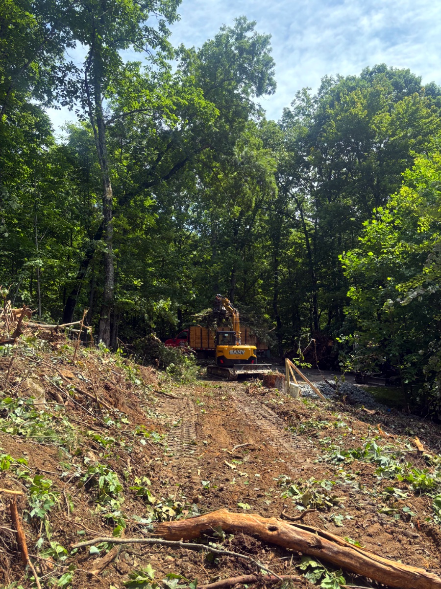 Excavator clearing a wooded WNC slope