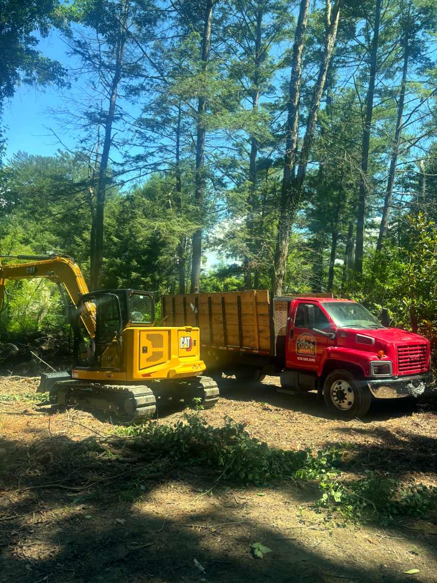 CAT excavator and dump truck on a Western North Carolina clearing job
